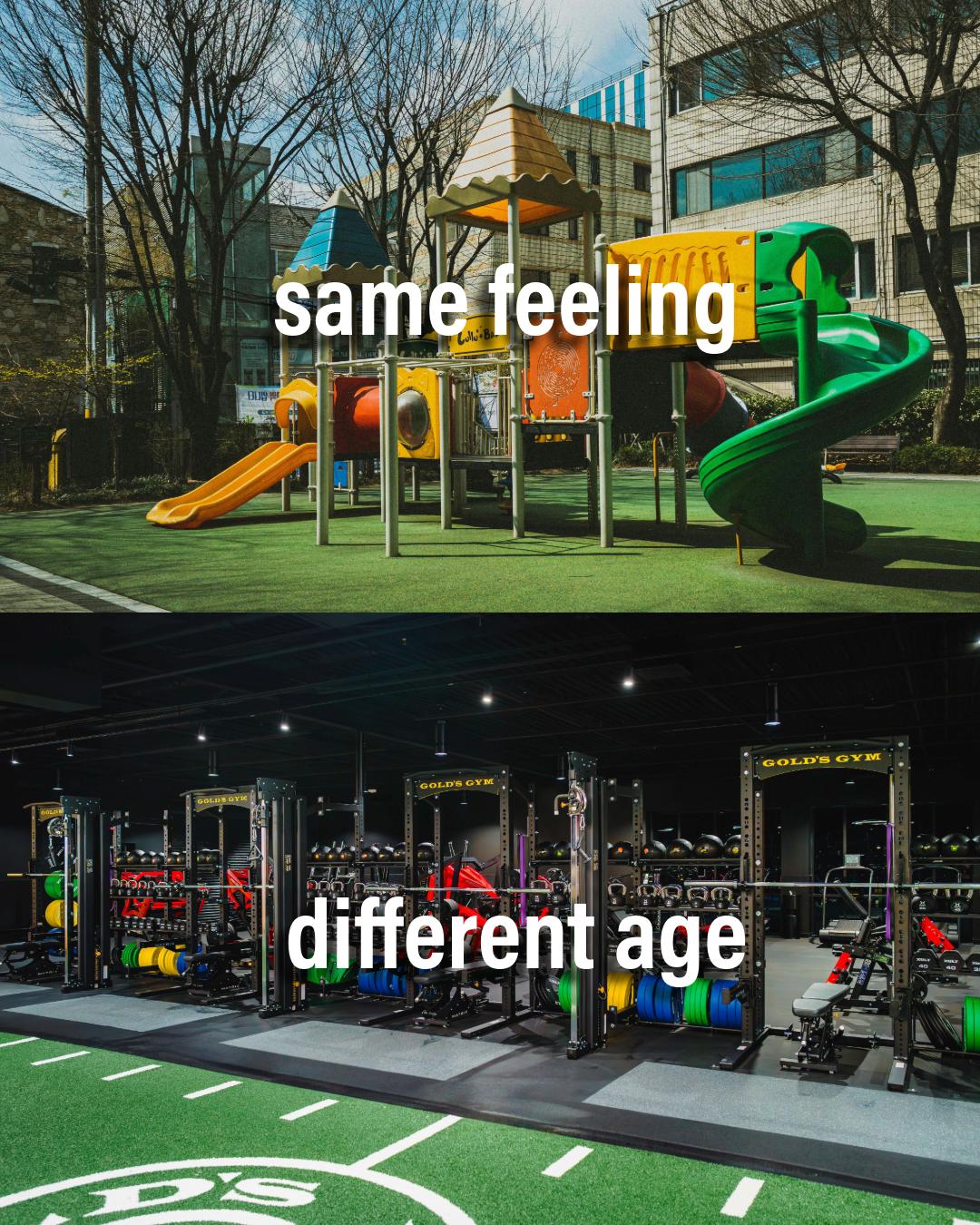 From playgrounds to plate-loaded.